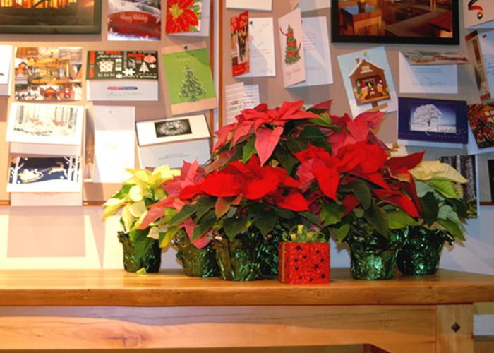 christmas_2012.jpg