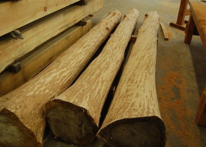 peeled_timber_oak_logs.jpg