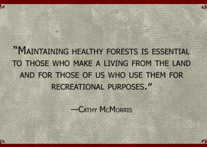 cathy_mcmorris_quote.jpg