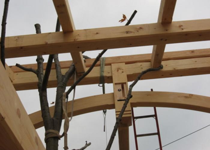 tree_in_timber_frame.jpg