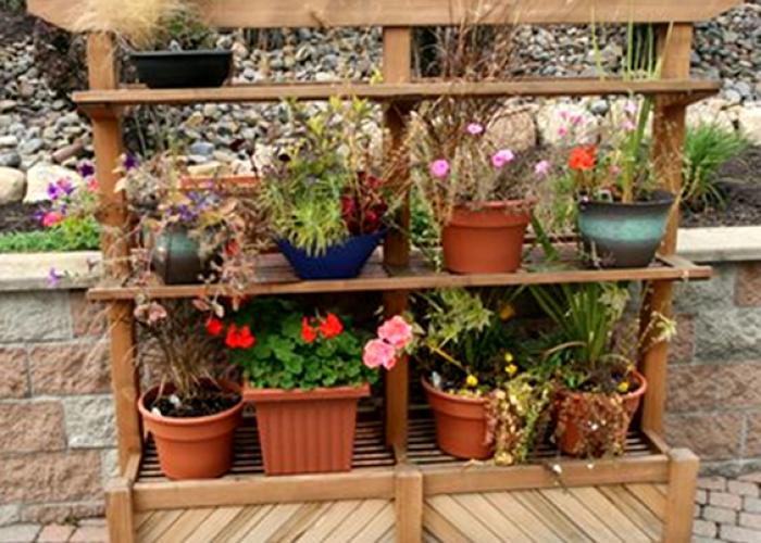 custom_df_and_walnut_planter_bully_hill.jpg