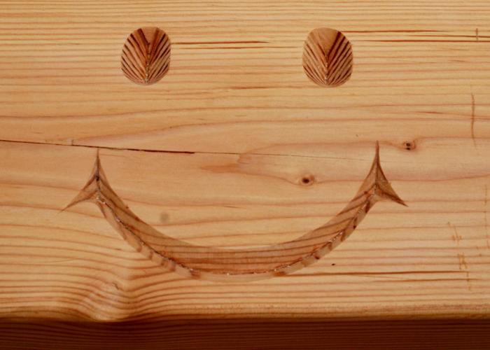 smile_in_timber.jpg