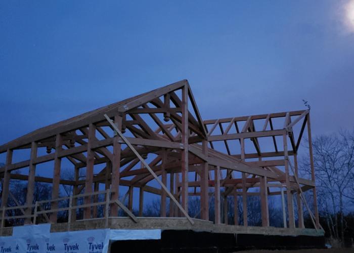 in_timber_frame_in_moonlight.jpg