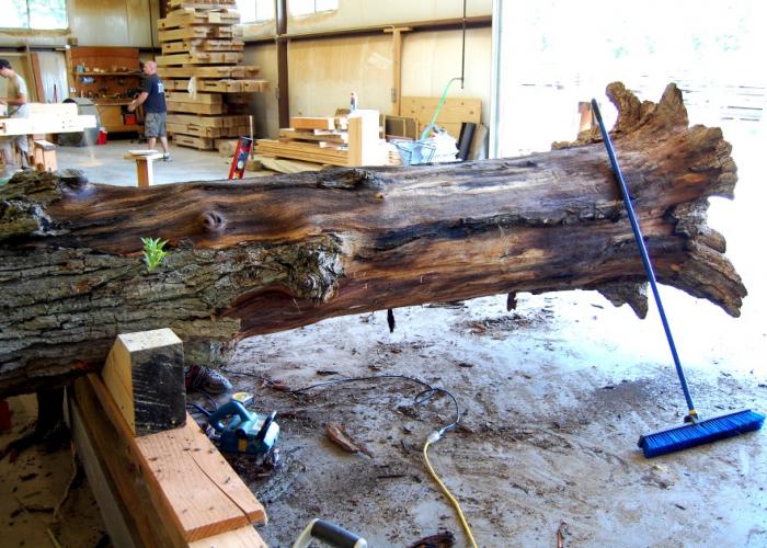 oak_post_peeling_process.jpg