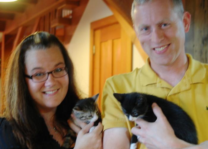 kittens_from_yard_rescue.jpg