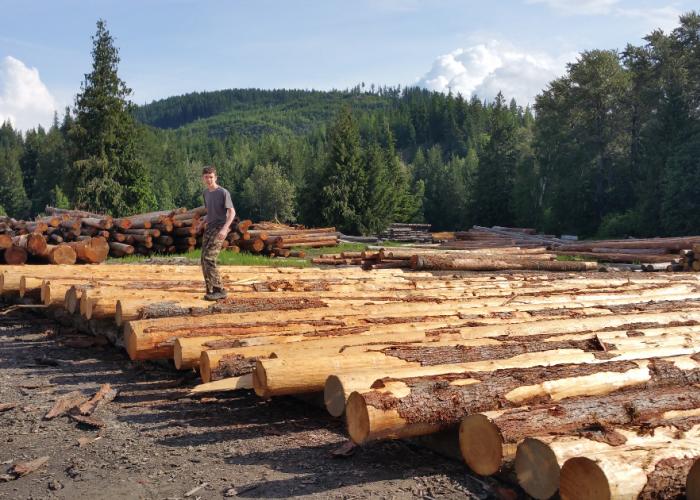 jake_on_fresh_douglas_fir_logs.jpg