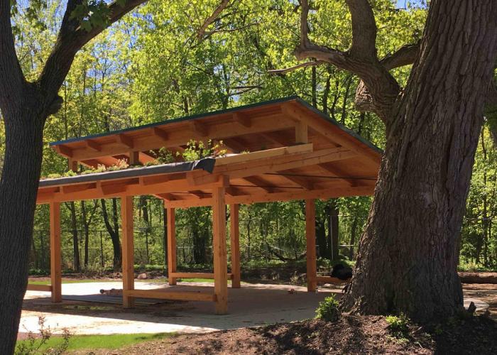 rcn_timber_pavilion_thru_trees.jpg