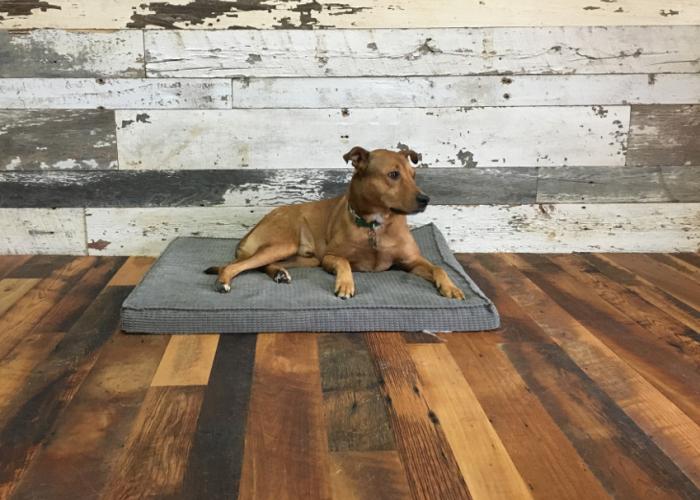 barrlow_reclaimed_settlers_plank_pioneer_millworks.jpg
