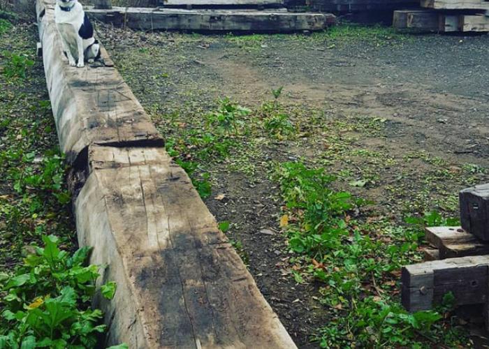 kairo_reclaimed_timber_yard.jpg