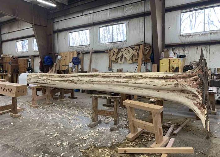 tree-scottsville-ny-owner-supplied.jpg
