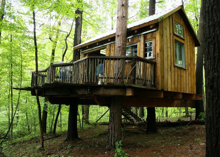 gell_center_treehouse_by_visit~fingerlakes.jpg