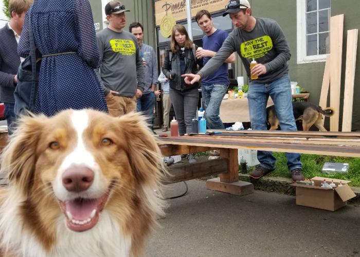 photobomb_luca_of_camera_josh_web.jpg