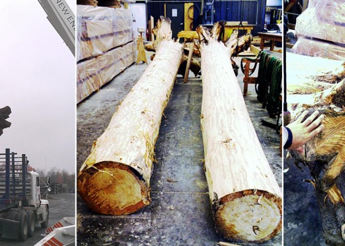 peeled_posts_for_timber_fireplace.jpg