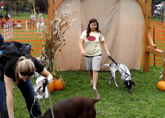 new_bent_barktoberfest.jpg