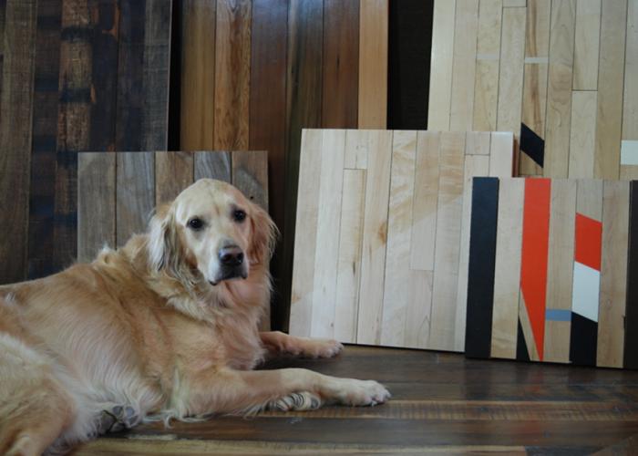 charlie_dog_with_pioneer_samples.jpg