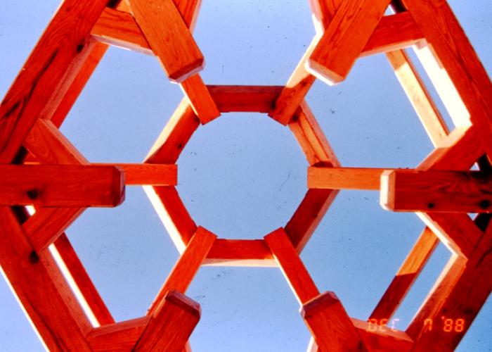 larry_timber_tension_ring_1988.jpeg