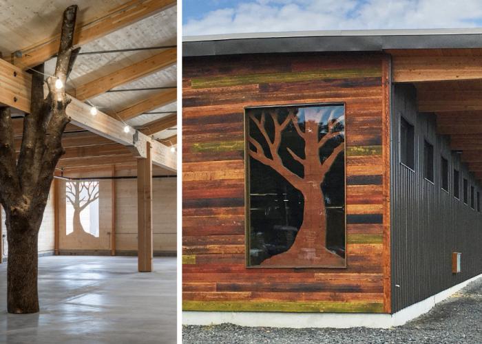 clt_building_w_tree_features.jpg