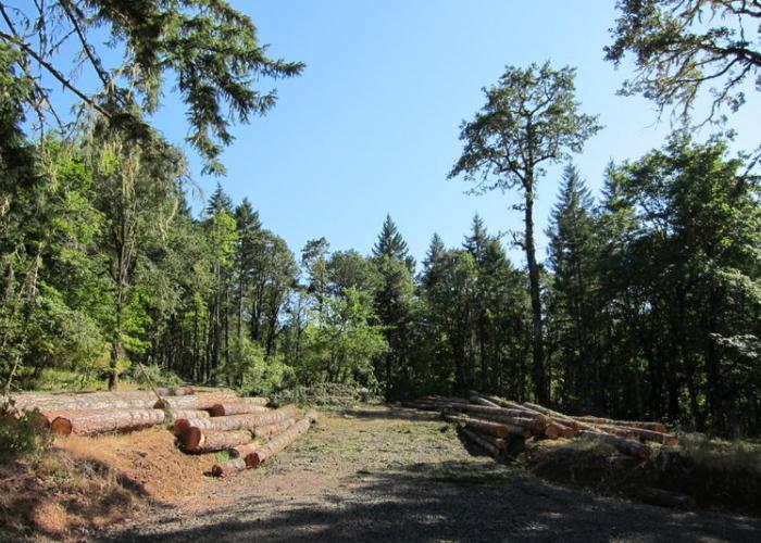 site_walk_west_coast.jpg