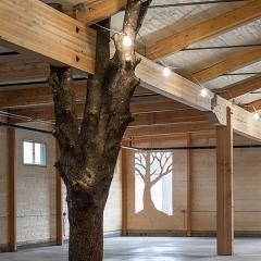 This structural found-form tree, nicknamed "Atlas," perfectly complements the engineered glulam beams.